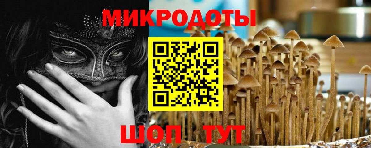 Псилоцибиновые грибы прущие грибы Саратов
