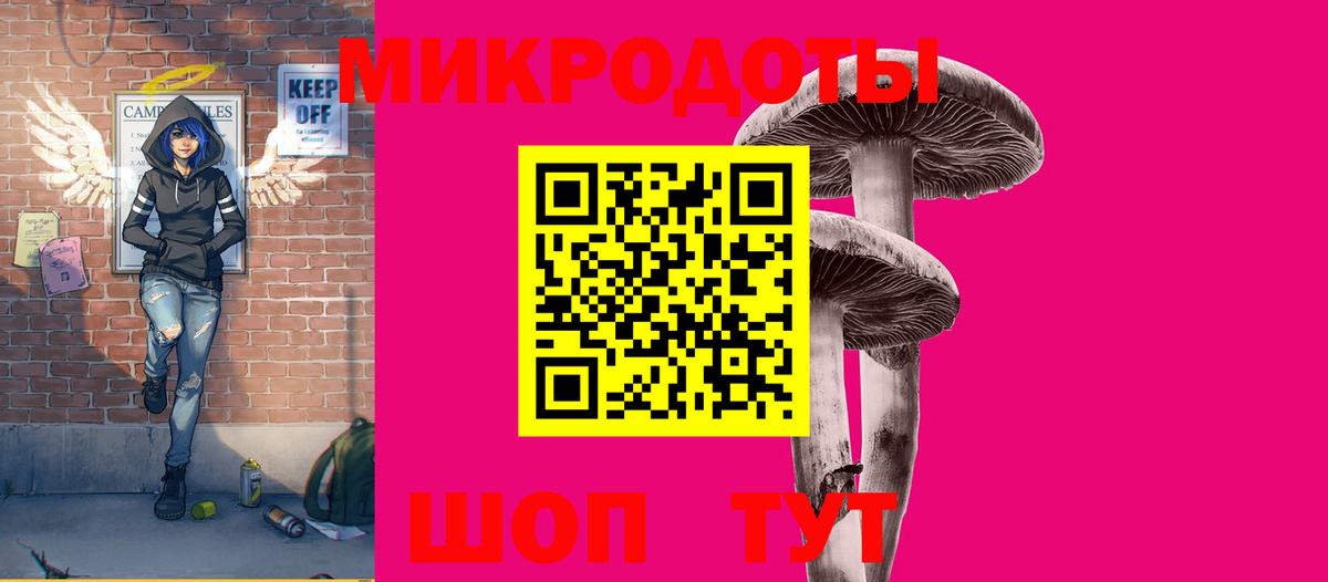 Саратов  Псилоцибиновые грибы Psilocybine cubensis  Вход с VPN 